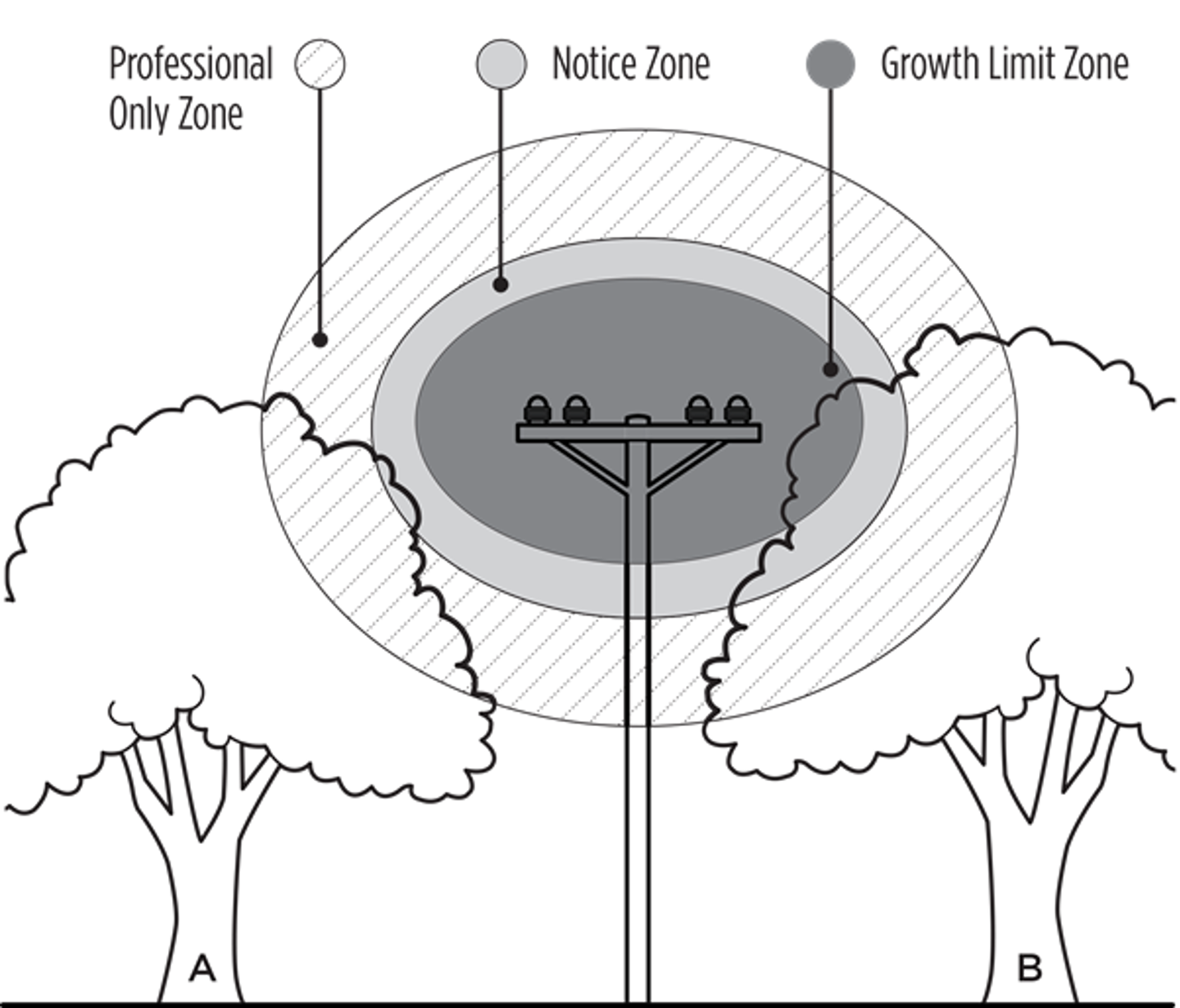 Diagram showing the growth limit zones for trees growing near power lines and power poles. There is the outer ring which from that point inward, is a professional arborist only zone, the middle ring is when you'll receive a notice from us and the inner circle is the growth limit zone.