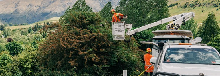 Photo of a person in a cherry picker basket raised from the truck to trim tree that are close to powerlines
