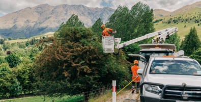 Photo of a person in a cherry picker basket raised from the truck to trim tree that are close to powerlines