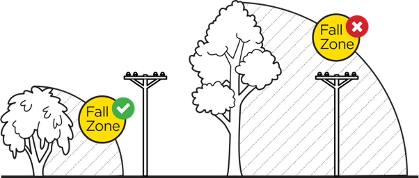 Diagram showing examples of a tree fall zone when close to a powerline.