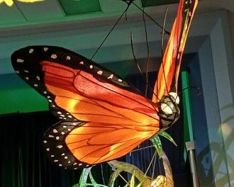 Butterfly lantern at the Dunedin Midwinter Carnival