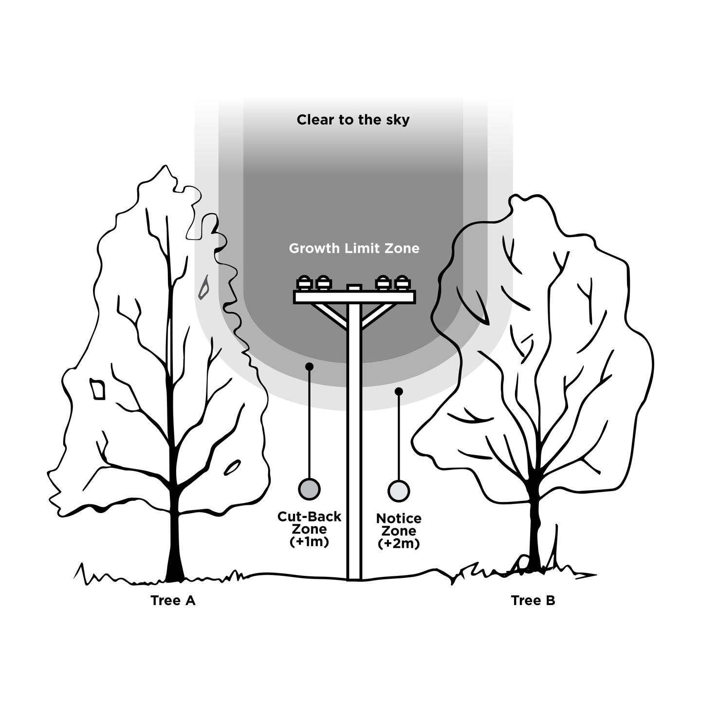 Diagram of the three different zones relating to safe distances between trees and power lines.