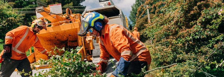 Photo of workers in PPE gear putting tree clippings into a large chipper