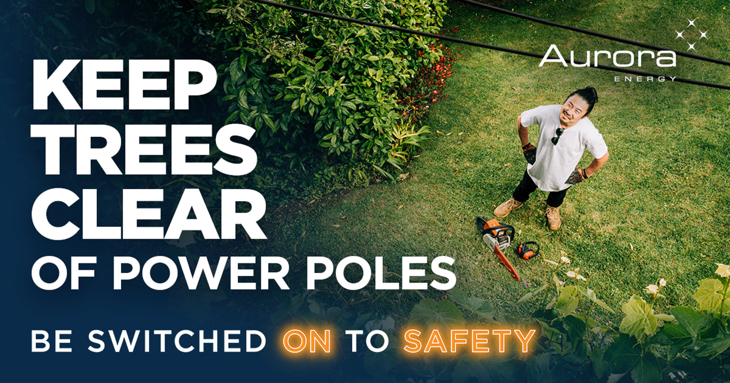 Keep trees clear of power poles
Be switched on to safety