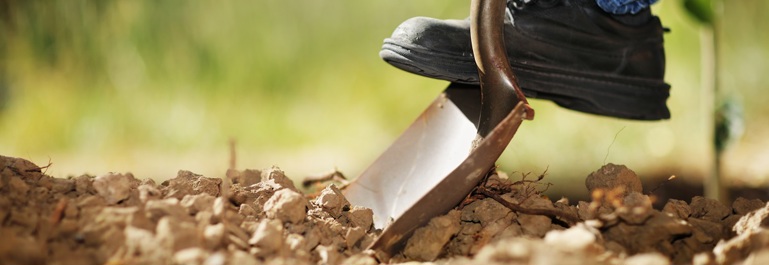 Digging soil with a shovel, check before you dig.