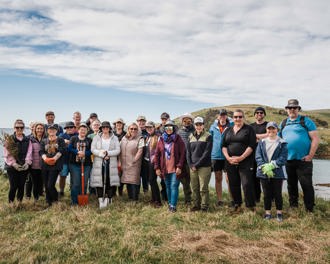 Aurora Energy team at the Quarantine Island Kamau Taurua planting day