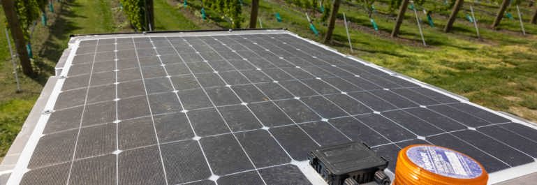 Photo shows a solar panel in the foreground and rows of vines in the background